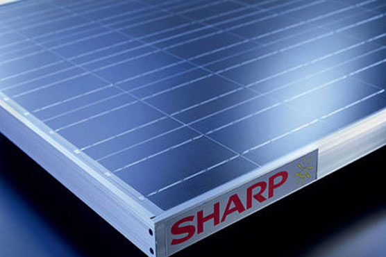 No truth to talk Japan's Sharp will exit solar business: executive
