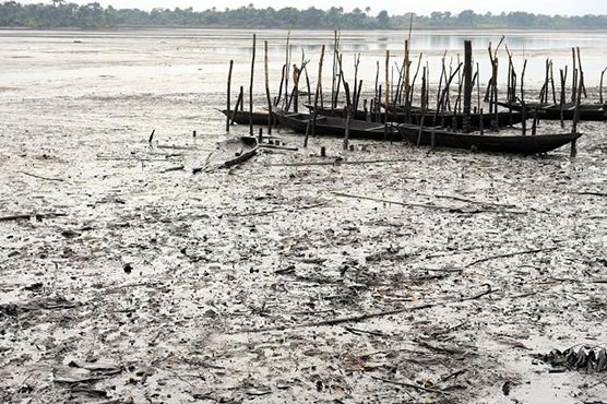 Shell agrees to start clean up of 2008 Niger Delta oil spill 