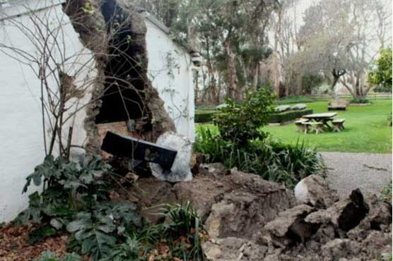 Strong quake in New Zealand, no damage reported