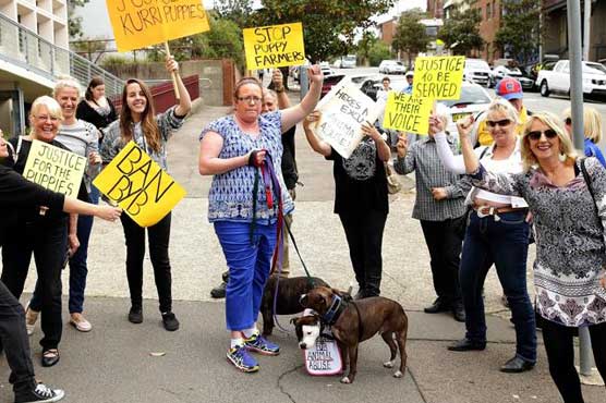 Australian jailed for killing nine puppies with brick