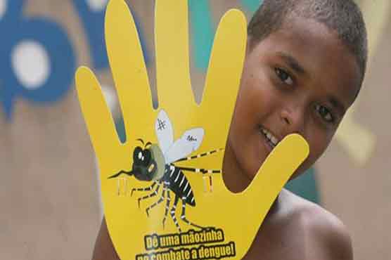 Dengue cases soar in Brazil, as death toll climbs