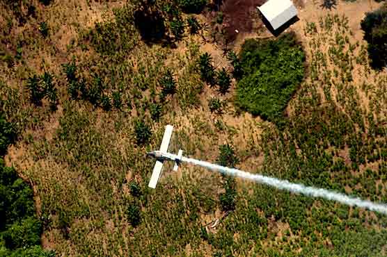 US-backed drug spraying triggers health fears in Colombia