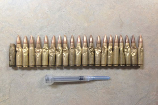 Arkansas dog bites the bullet, eating 23 rounds of ammunition