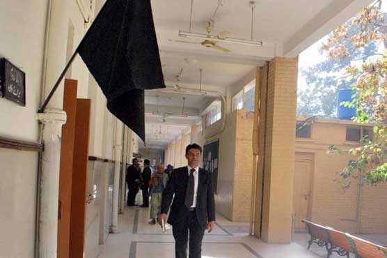 Lawyers strike against Karachi massacre, demand to arrest culprits