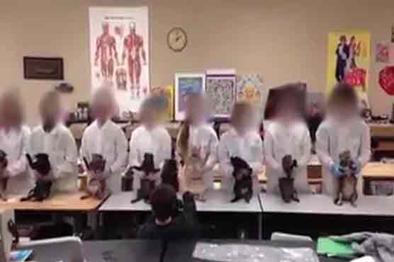 Oklahoma school concerned over dancing dead cats video