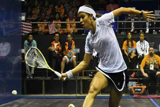 Squash: David into British Open semis as Egyptian duo miss out