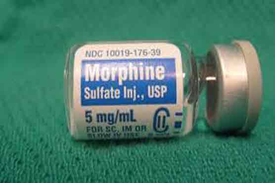 Gene breakthrough sparks 'home-brewed morphine' fears