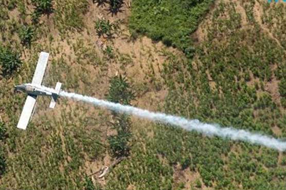 Plane carrying more than ton cocaine crashes off Colombia's coast