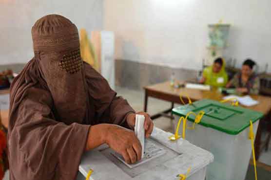 ECP must ensure women votes in KP local body elections: MQM