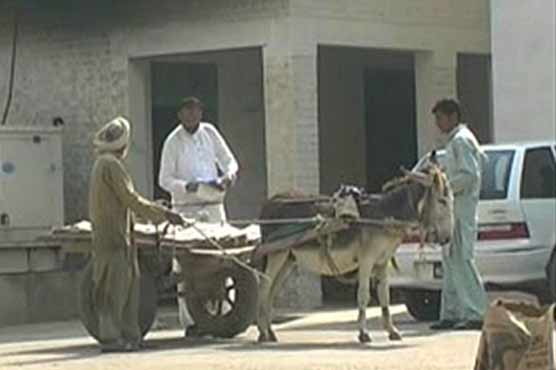 Key documents shifted to DCO office on donkey cart in D.G Khan