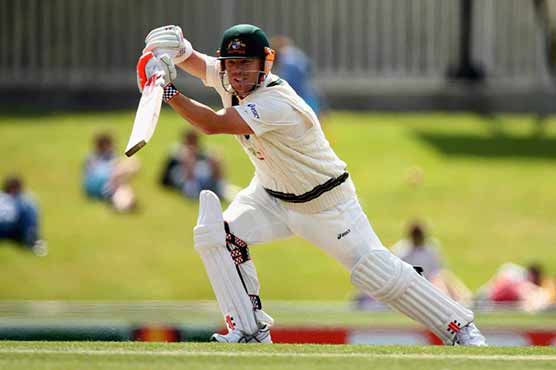 Warner hits 13th Test ton as Aussies flay Kiwis