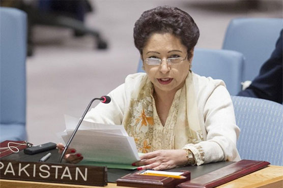 International response to migrant crisis slow, inadequate: Maleeha Lodhi
