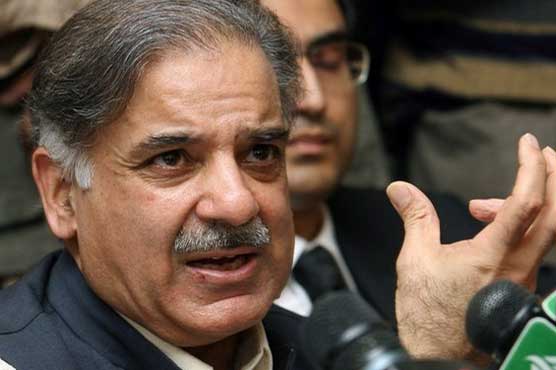 Govt will ensure investors' security, vows CM Shahbaz