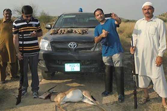 DPO Mianwali, DCO Jhang hunt deer, partridges in Kalabagh despite ban