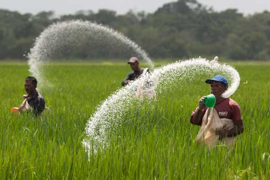Urea sales drop 70 percent as farmers eye economical prices