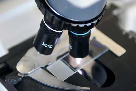 Lab-grown vocal cord tissue may offer transplant solution