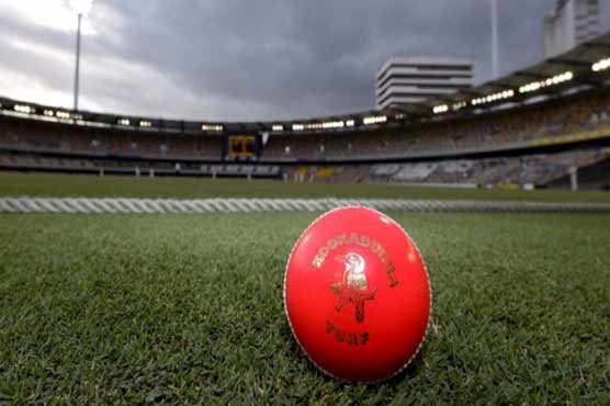 Bring on the pink ball, says Nathan Lyon
