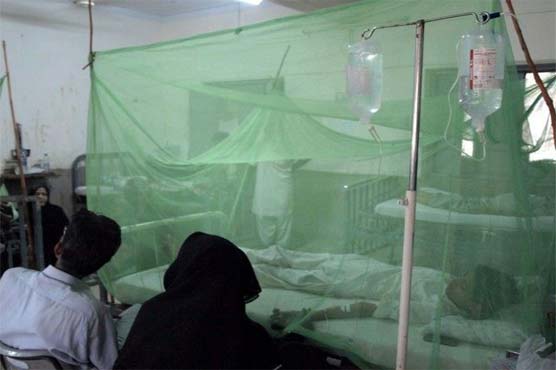 Number of dengue victims in Rawalpindi surges to 5000