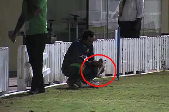 Imran Khan Jr. cleans T20 captain Afridi's joggers during training in Dubai