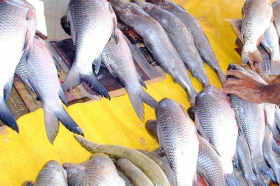 Marine Fisheries permits another company to export seafood to Europe 