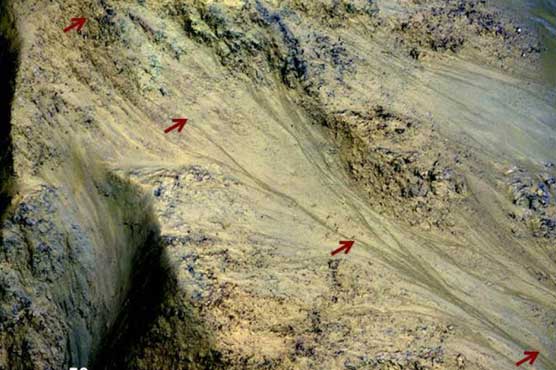 Search for Mars life stymied by contamination threat