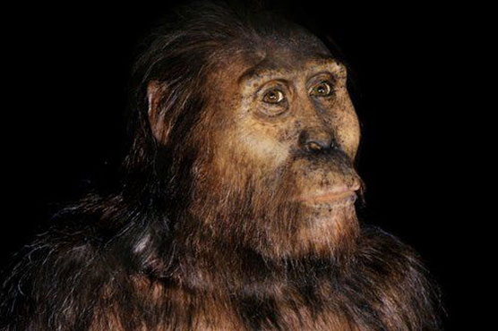 Early human climbed trees, made tools too: study 