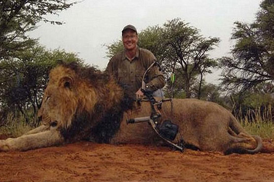 Zimbabwe drops case against US dentist who killed Cecil the lion