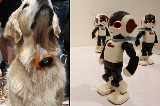 Dog smartphone and dancing humanoids on show at HK fair