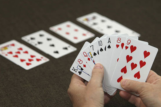 Bridge 'not a sport' says Britain's High Court 