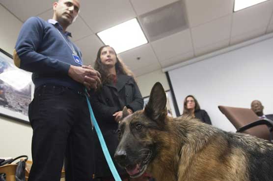 Day off in Washington for hero mine-clearance dog