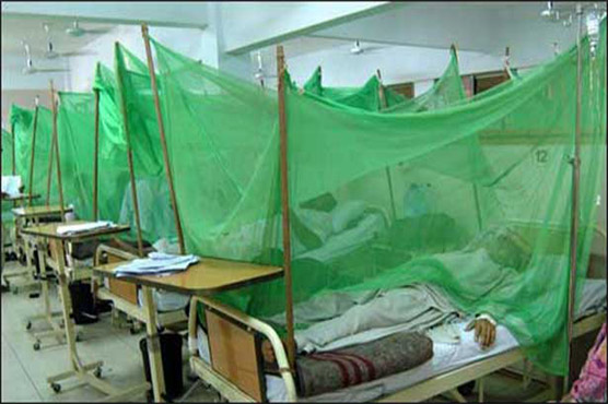 Over 1,700 dengue fever cases detected in KP