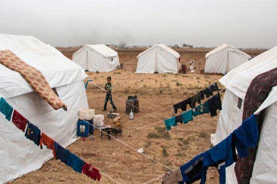 120,000 flee fighting in Syria's Aleppo, Hama, Idlib: UN