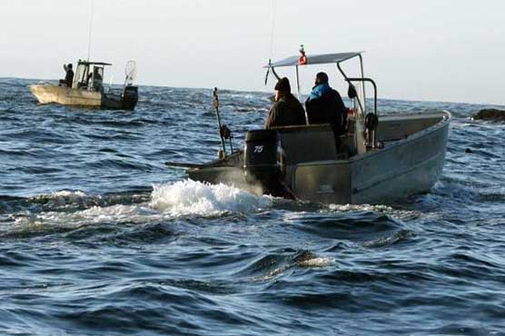 Five Britons dead in Canada whale-watching capsize