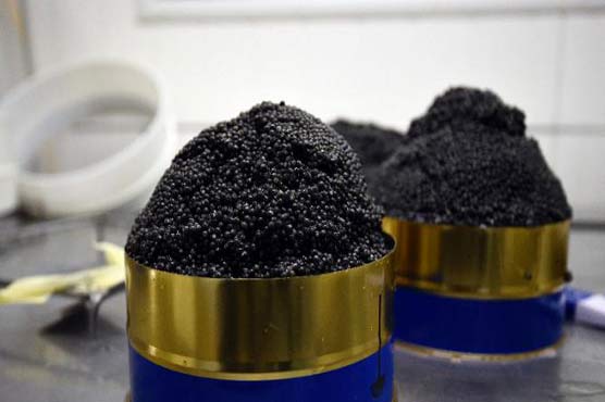 Egg-humed: Russian police bust caviar smuggled in coffin