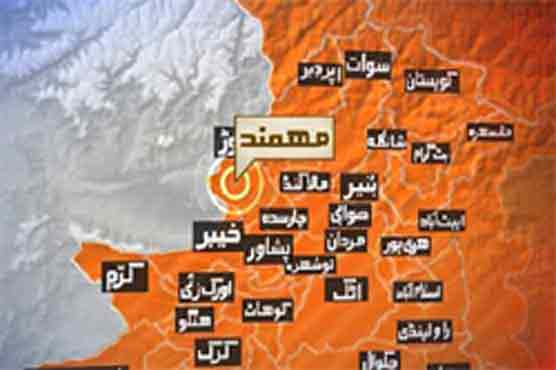 Levies official martyred in militant attack on checkpost