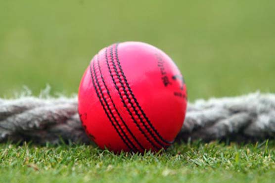 Day-night Test to go ahead despite stink over pink ball