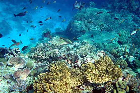 Climate: CO2 will forever alter key ocean microbes