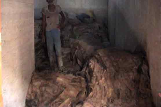 Kasur: Police seizes more than 1800 donkey hides