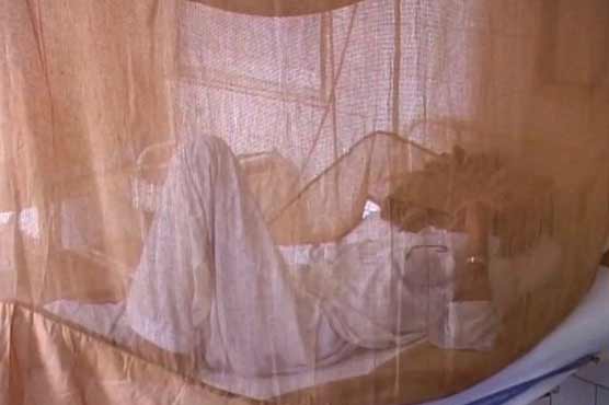 Faislabad: 2 cases of dengue virus emerge