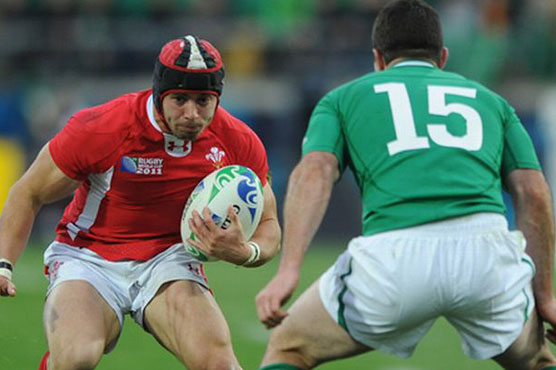 RugbyU: Wales full-back Halfpenny out of World Cup 