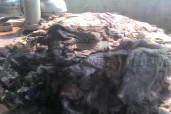 Karachi: Donkey meat, hides and fat being sold