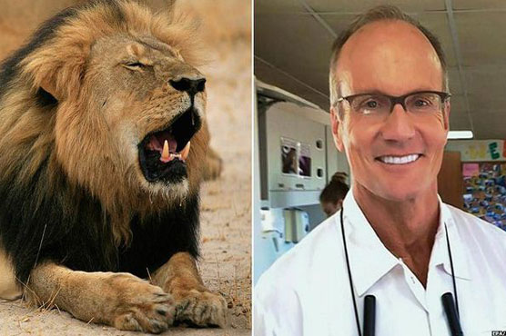 US dentist who killed Cecil the lion returns to work