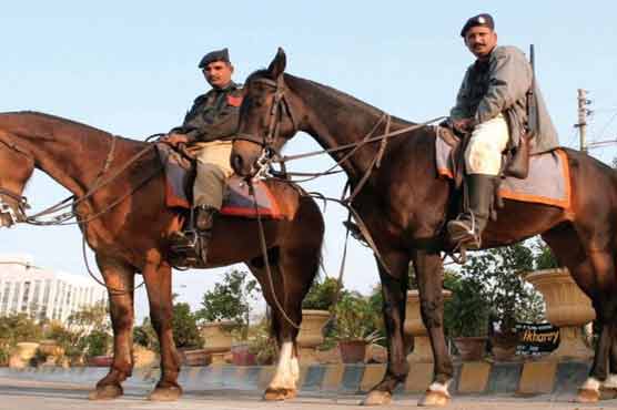 Multan police seeks expert to 'nurse back' patrolling horses