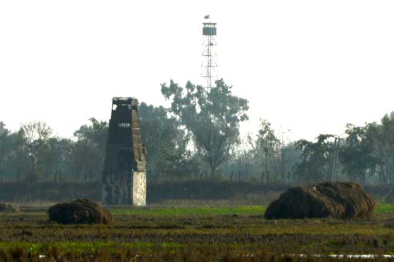Pakistan hands over Indian woman to BSF 'who crossed border by mistake'