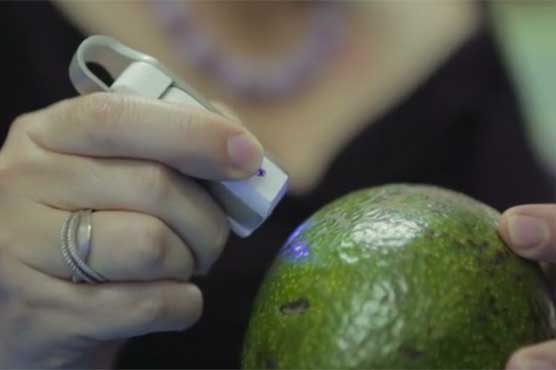 Mini-scanner tells what's in food, drink or pills
