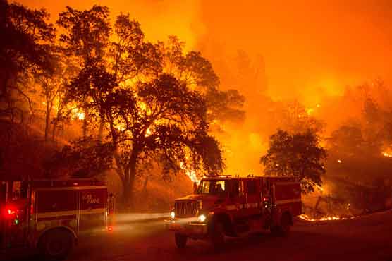 California declares state of emergency as wildfires rage