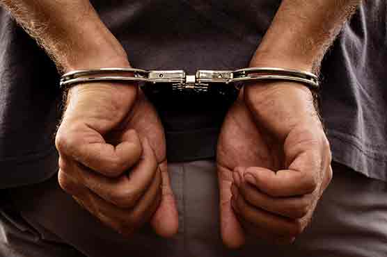 Six suspects apprehended over illicit hunting of hawks in Rahimyar Khan