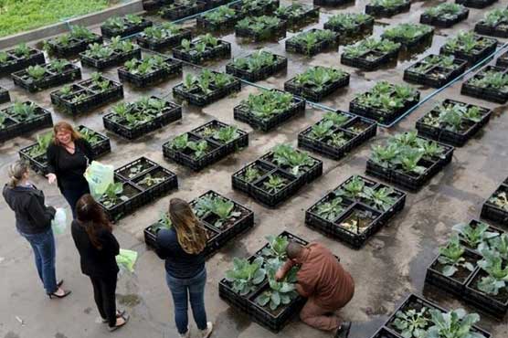 Sales from organic U.S. farms reached $5.5 billion last year: USDA