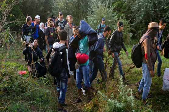 Over 10,000 migrants enter Hungary in new record
