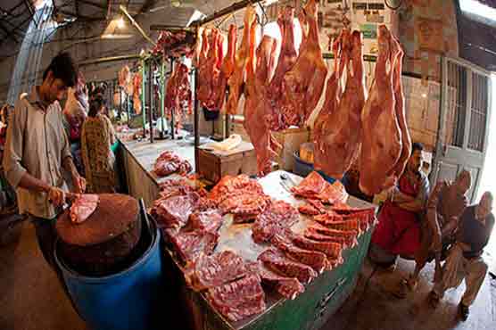 Punjab govt decides to amend Animal Act, summary sent to CM 